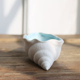 Ceramic Conch Storage Jar