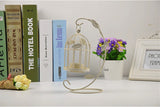 Decorative Vintage Bird Cage