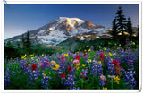 Lupine Flower Seeds